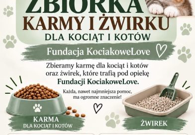 Fundacja Kociakowe Love