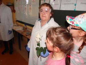 Festyn 2018 Pokaz chemiczny 49